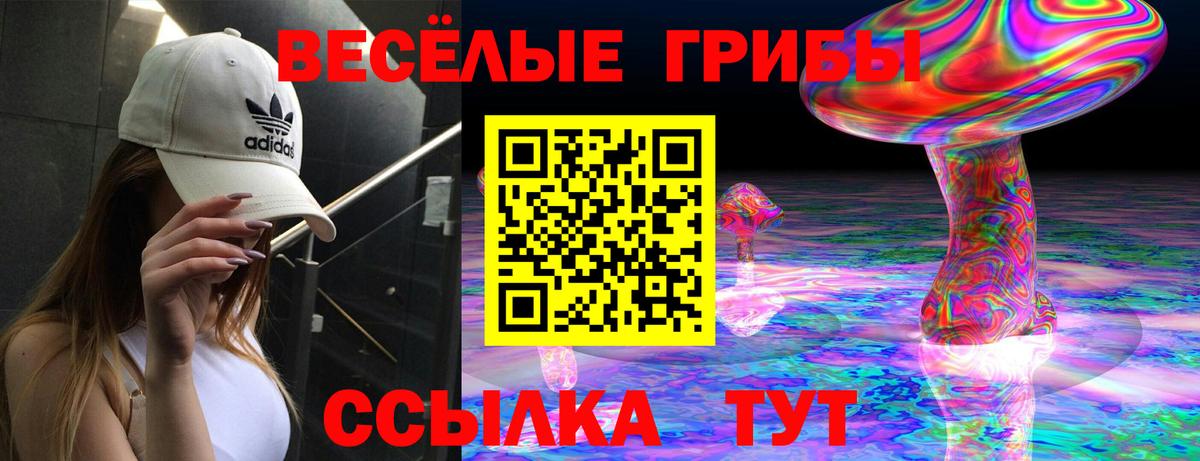 продажа наркотиков  Вход с VPN  Волжск  Псилоцибиновые грибы GOLDEN TEACHER 